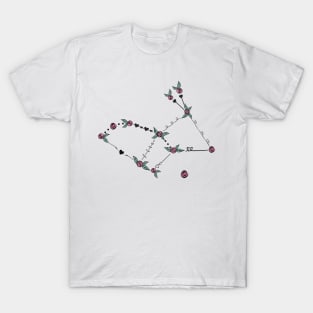 Lepus (Hare) Constellation Roses and Hearts Doodle T-Shirt